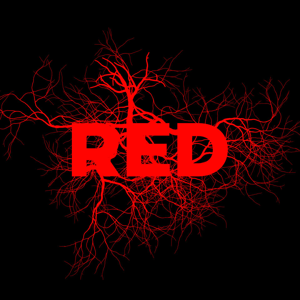 RED Canvas Logo 6